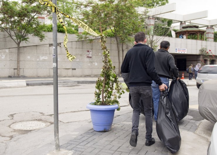 Balona Röveşatadan Sonra Saksıya Tekme
