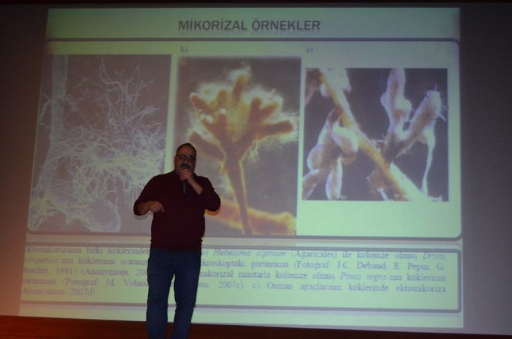 Artvin’de İstiridye Mantarı Üreticilerine Yönelik Bilgilendirme Toplantısı