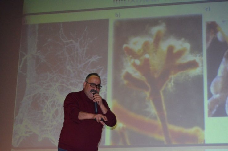 Artvin’de İstiridye Mantarı Üreticilerine Yönelik Bilgilendirme Toplantısı