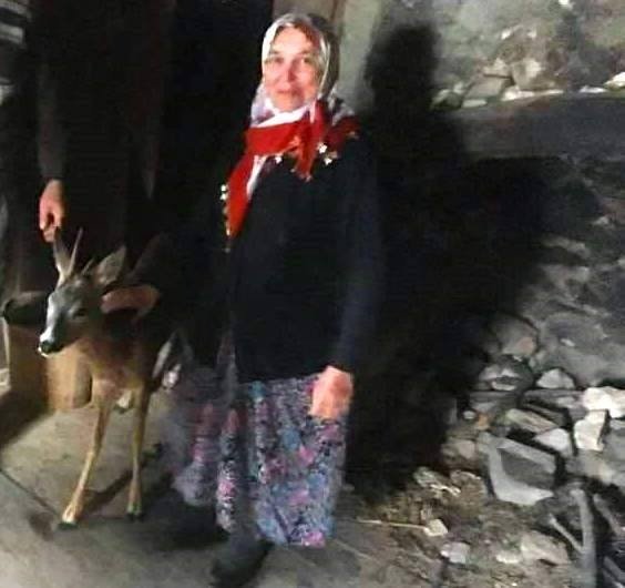 Giresun’da Bulunan 2 Yaralı Karaca Tedavilerinin Ardından Doğal Yaşama Bırakıldı