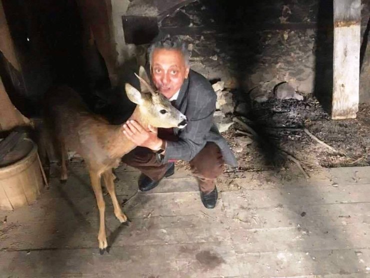 Giresun’da Bulunan 2 Yaralı Karaca Tedavilerinin Ardından Doğal Yaşama Bırakıldı