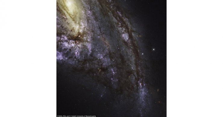 Hubble’in Çektiği En Yakın Galaksilerin Görüntüleri Yayımlandı