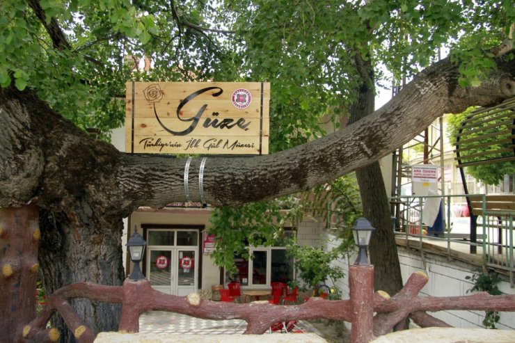 Türkiye’nin İlk Gül Müzesi: Güze