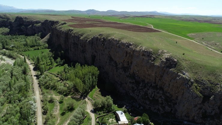 Nesli Tükenmek Üzere Olan Leylek Sivas’ta Görüntülendi