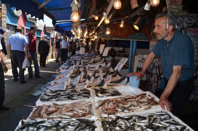 Trabzon’da Balık Fiyatları Geçen Yılın Aynı Dönemine Göre Yüzde 50 Arttı