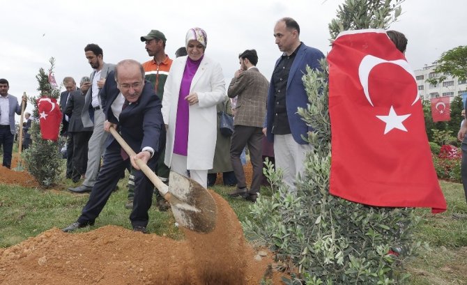 Afrin Şehitleri İçin Trabzon’da Hatıra Ormanı Oluşturuldu