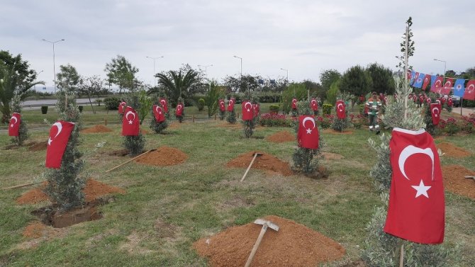 Afrin Şehitleri İçin Trabzon’da Hatıra Ormanı Oluşturuldu