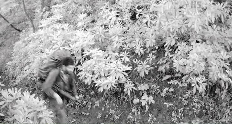 Eren Bülbül’ün Katili Teröristler Fotokapana Böyle Yakalandı