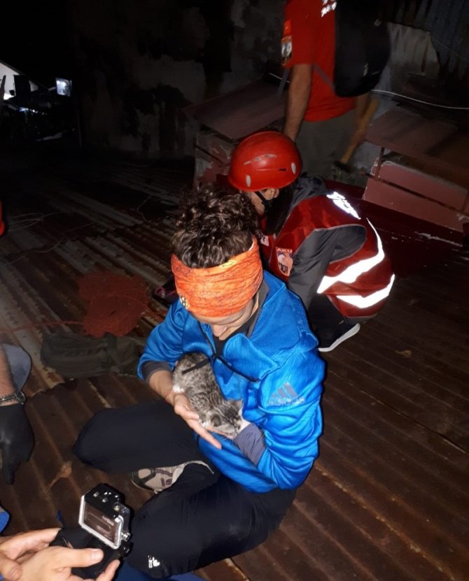Çatıya Sıkışan Yavru Kediyi Kurtarmak İçin Seferber Oldular