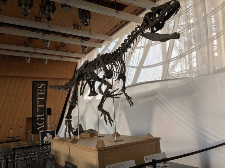Jura Devrine Ait Dinozor 2 Milyon Dolara Satıldı