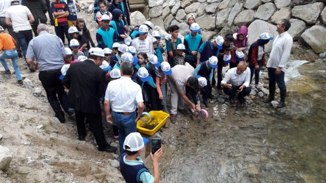 Kırmızı Benekli Alabalıklar Öğrencilerin Elinden Suya Kavuştu