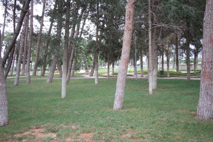 Türkiye’nin 241. Tabiat Parkı İlan Edildi