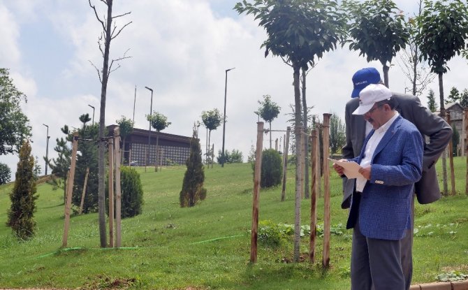 Trabzon Botanik Tanıtım Günleri Başlıyor