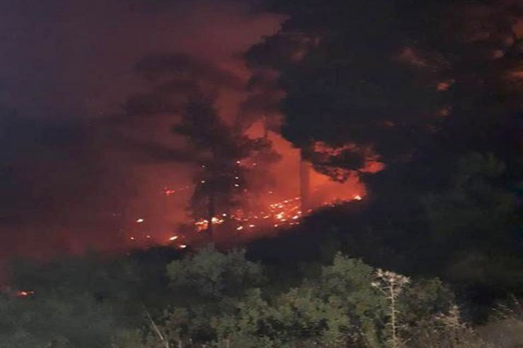 Güney Kıbrıs’ta Çıkan Yangın Kktc’yi Alarma Geçirdi