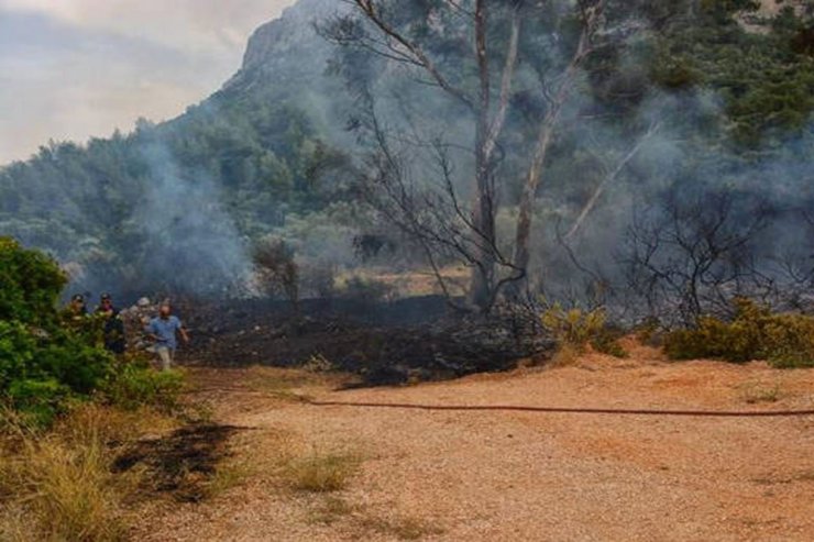 Güney Kıbrıs’ta Çıkan Yangın Kktc’yi Alarma Geçirdi