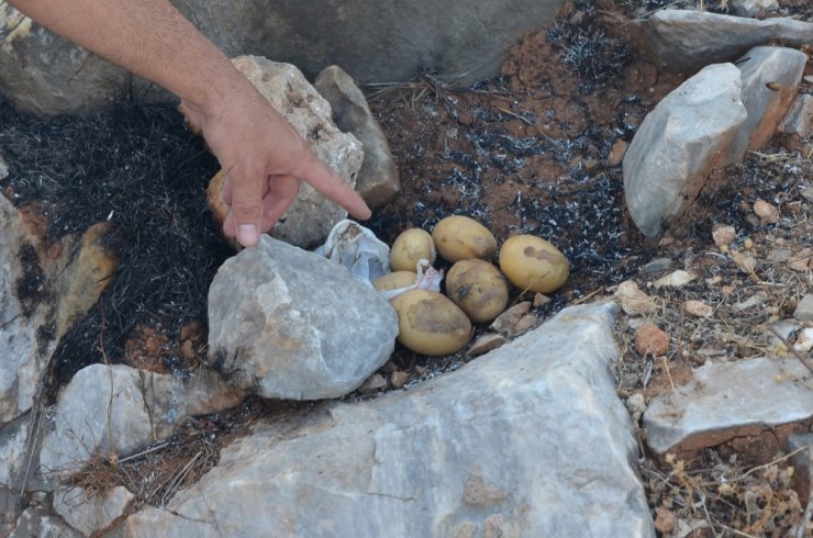 Patates Pişirmek İsterken Yangın Çıkardılar