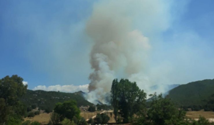 Kaş’ta Orman Yangını