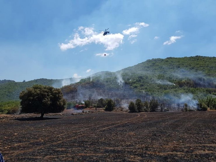 Kaş’ta Orman Yangını