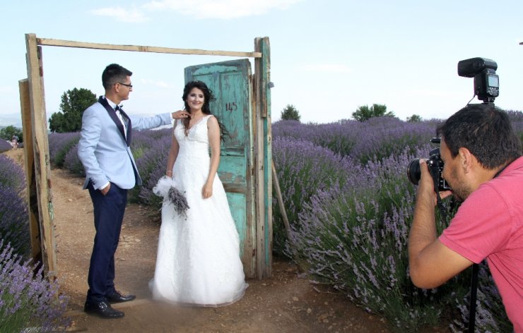 Lavanta Kokulu Doğal Fotoğraf Stüdyosu