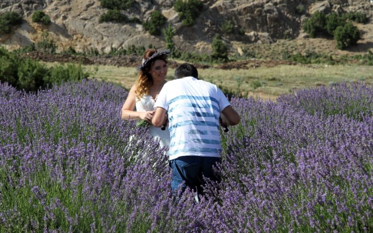 Lavanta Kokulu Doğal Fotoğraf Stüdyosu