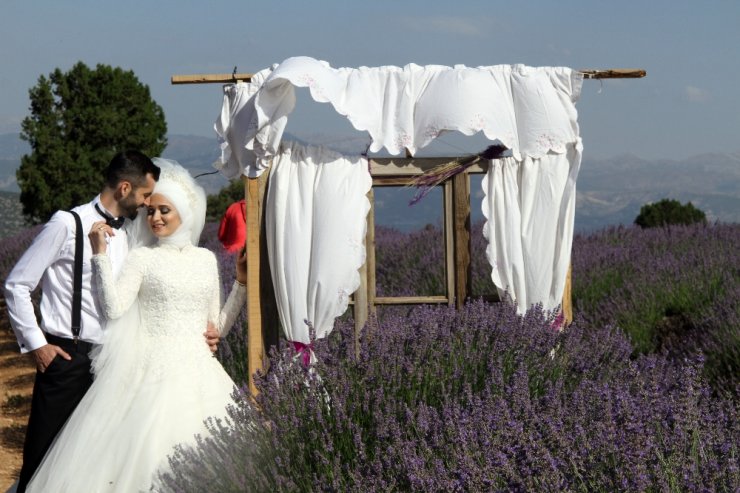 Lavanta Kokulu Doğal Fotoğraf Stüdyosu