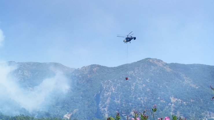 Antalya’da Orman Yangını