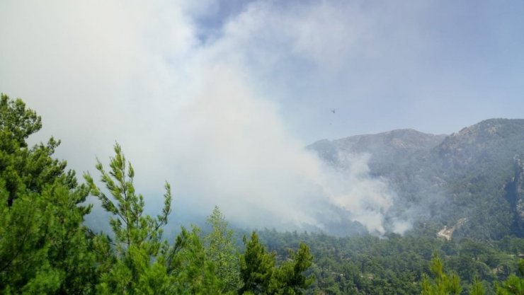 Antalya’da Orman Yangını