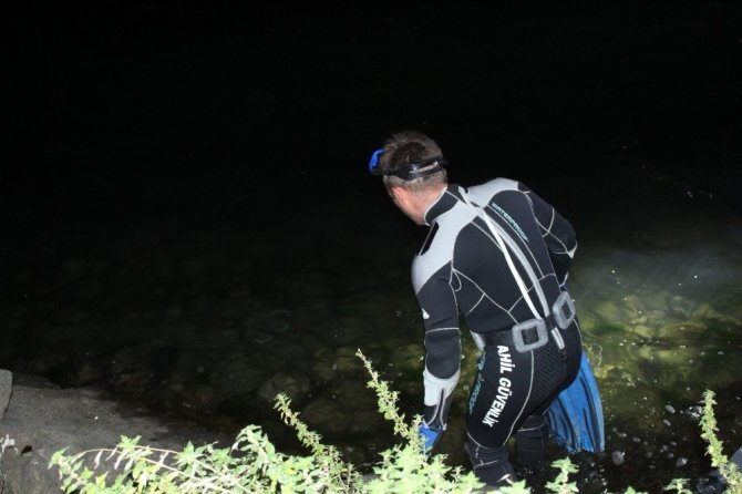 Giresun’da Otomobil Denize Uçtu: 1 Yaralı