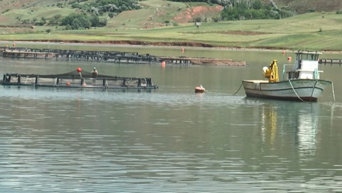 Giresun’da Baraj Göllerinde Balık Üretimi Yaygınlaşıyor