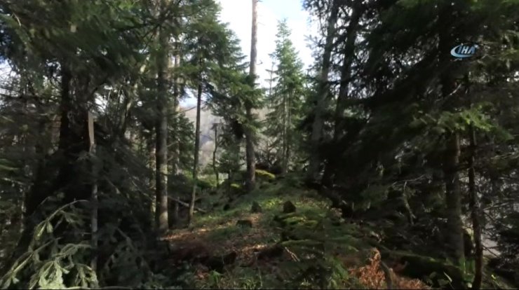 Batı Karadeniz’in Gizli Kalmış Hazinesi