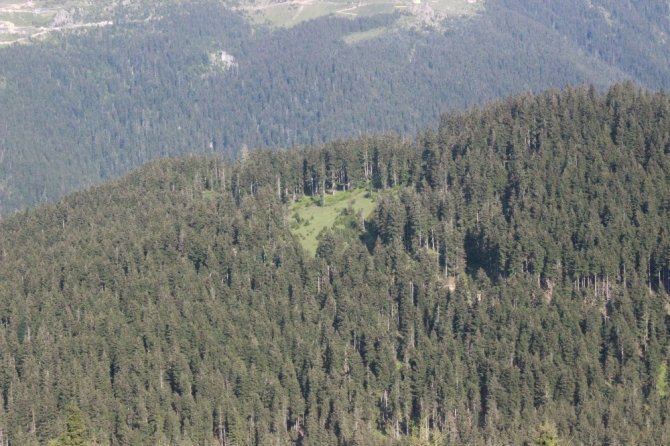 Giresun’da Çatışmanın Yaşandığı Bölge Çember Altına Alındı