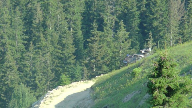 Giresun’da Çatışmanın Yaşandığı Bölge Çember Altına Alındı