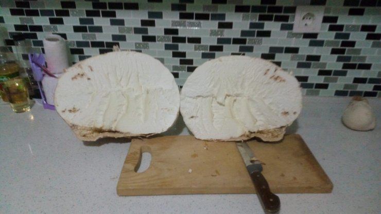 Yaylada Bulundu: Ağırlığı 5 Kilogram