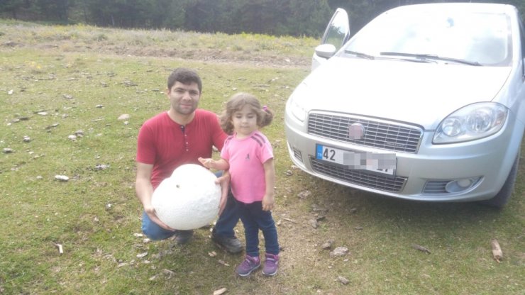 Yaylada Bulundu: Ağırlığı 5 Kilogram