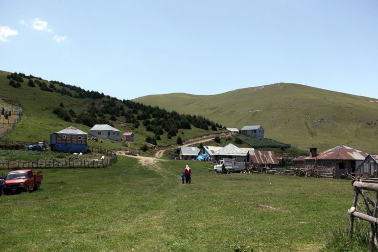 Giresun’da Pkk’lılar Kıskaca Alındı