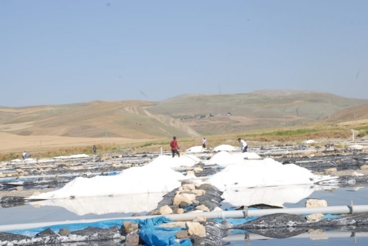 Burada Günde 120 Ton Tuz Üretiliyor