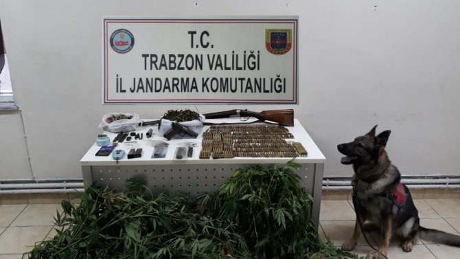 Fotokapan Bu Kez Kenevir Ekenleri Yakaladı