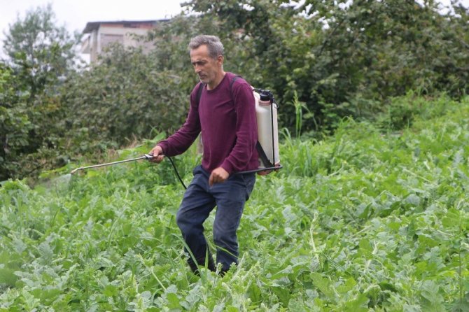 Hangi İşe El Attıysa Zarar Eden Talihsiz Temel Bu Kez Başardı