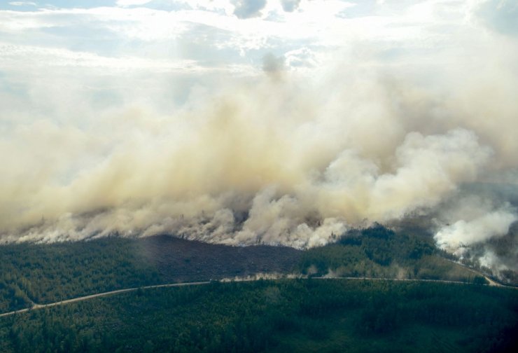 Orman Yangınları Kontrol Altına Alınamıyor