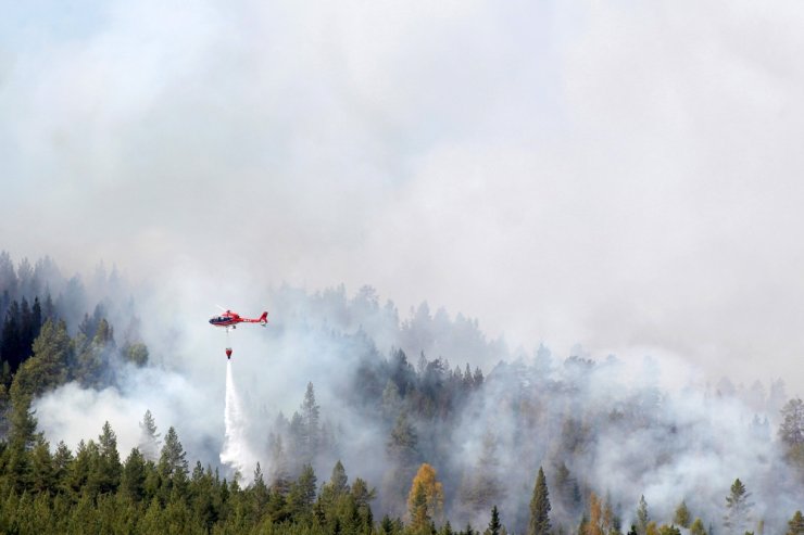 Orman Yangınları Kontrol Altına Alınamıyor