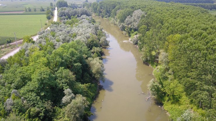 Atık Sularla Kirlenen Sakarya Nehri Havadan Görüntülendi