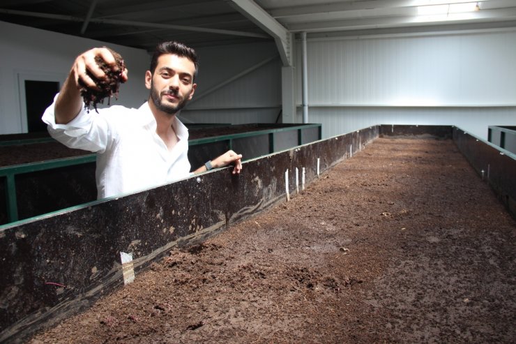 Solucan Sevgisi İş Sahibi Yaptı