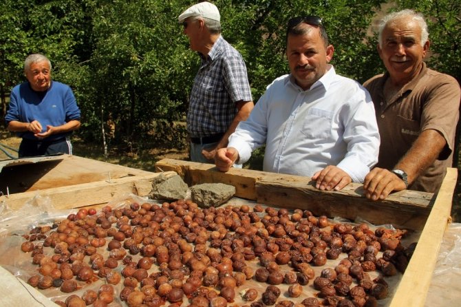 En İyi Pekmez Ve Reçellerin Sırrı: "Güneş Işığı"