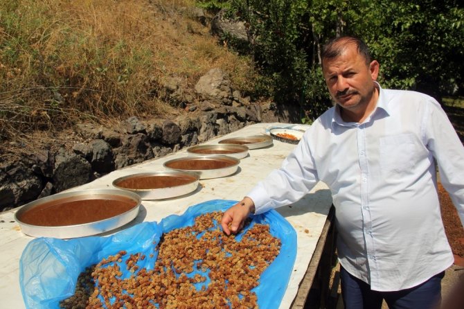 En İyi Pekmez Ve Reçellerin Sırrı: "Güneş Işığı"