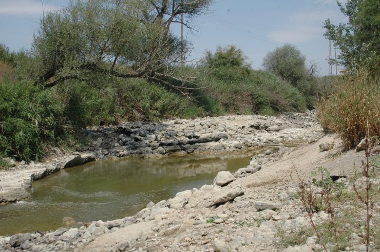 Sakarya Nehri Kurumaya Yüz Tuttu