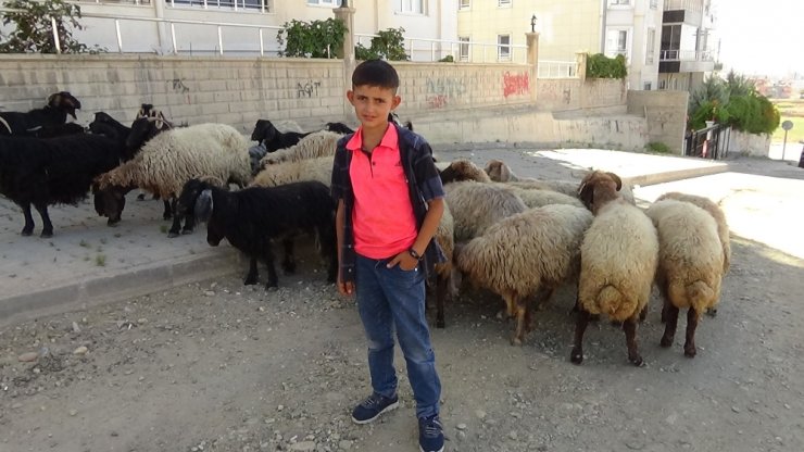 En Büyük Hayali Şaşırttı