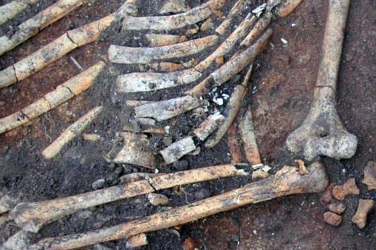 4 Bin 500 Yıl Öncesine Ait Kemiklerde Gizemli İzler
