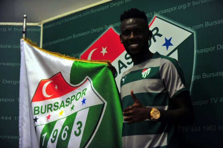 Lima Timsah Oldu