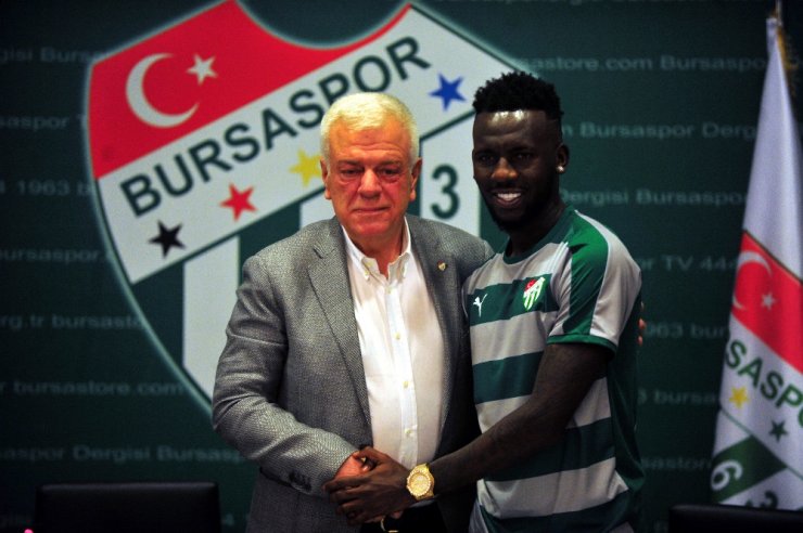 Lima Timsah Oldu