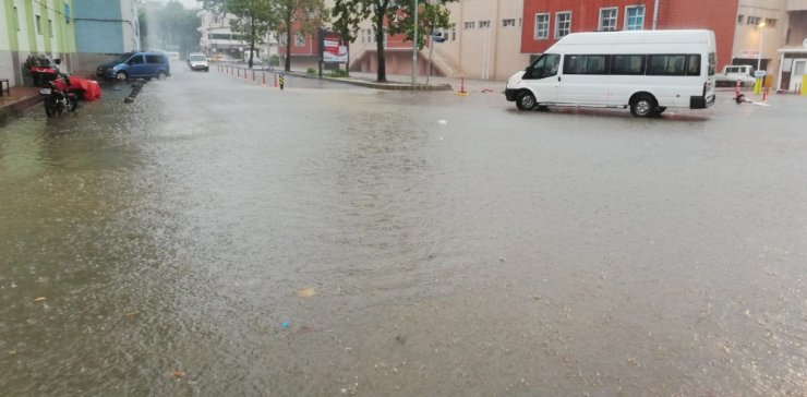 Ünye Yine Sele Teslim Oldu